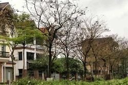 Quá hạn gần 10 năm, nhà đầu tư vẫn chưa được cấp giấy chứng nhận quyền sử dụng đất
