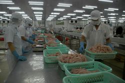 Ngành thủy sản điêu đứng vì dịch COVID -19