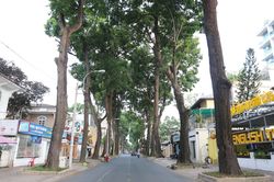 TPHCM tạm ngừng thăm bệnh, ngừng hoạt động các phòng khám tư nhân