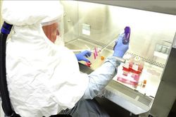 Dịch COVID-19: Mỹ hỗ trợ công ty Johnson & Johnson 421 triệu USD sản xuất vaccine