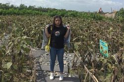 Cô nàng hí hửng đi chụp ảnh thơ mộng và cái kết khiến mxh bất ngờ