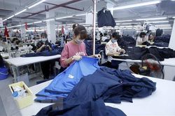 Hội đồng châu Âu thông qua thủ tục cuối cùng cho EVFTA