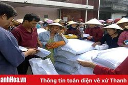 Hỗ trợ gạo cho các hộ gia đình tự nguyện nhận trồng, bảo vệ rừng