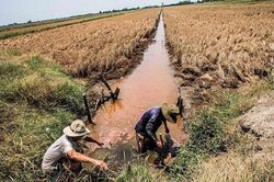 Bộ Tài nguyên và Môi trường kiến nghị giải pháp phòng chống hạn hán, xâm nhập mặn