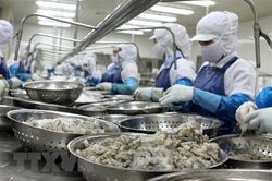 Xuất siêu nông, lâm, thủy sản tăng gần 49% trong quý đầu năm