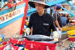 Giá xăng giảm sâu tiếp sức cho ngư dân vươn khơi, bám biển