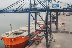 T&T Group nhập nông sản Mỹ trị giá 115 triệu USD giữa dịch Covid-19