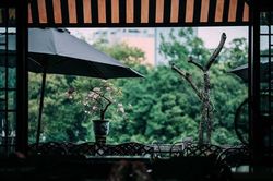Làm gì với người vợ U50 'say nắng' đồng nghiệp, nằng nặc đòi ly hôn?