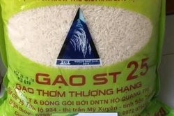 Tràn lan gạo ST25 nhái