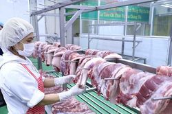 Giá thịt lợn trên thị trường vẫn ở mức cao, lợn hơi có hạ nhiệt