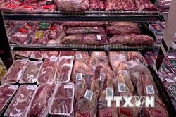 Giá lợn hơi trên thị trường vẫn ở mức cao