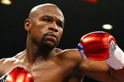 Mayweather có nên trở lại sàn đấu chuyên nghiệp?