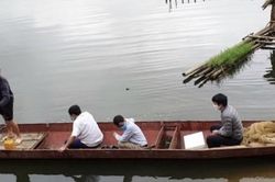 Cá trên sông Mã chết bất thường