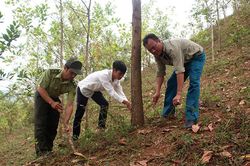 Mường Nhé tăng cường phòng chống cháy rừng