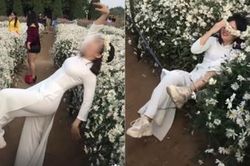 Mải mê tạo dáng không may ngã đè lên luống cúc họa mi, cô gái bị dân mạng chỉ trích gay gắt