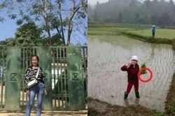Khoe ảnh đi cấy giúp mẹ, cô gái xinh đẹp bất ngờ gặp rắc rối lớn chỉ vì chi tiết này