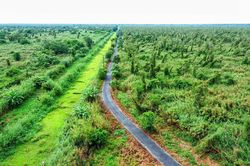 4 khu rừng nguyên sinh đẹp nổi tiếng ở Việt Nam