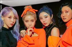 Các ngôi sao K-pop tổ chức diễn 'không khán giả' quyên góp giúp chống dịch COVID-19