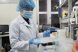 Virus SARS-CoV-2 đã có sự tiến hóa, khác biệt