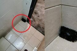 Thấy chiếc bàn chải để trong góc nhà vệ sinh, người đàn ông cầm lên thì phát hiện bí mật khó ngờ