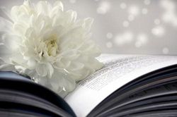 'Ngọc lành có vết, việc đời đa đoan', hỏi sao con người cứ mãi 'chấp mê bất ngộ'?