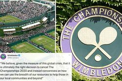 Tennis: Wimbledon sẽ nhận 100 triệu bảng tiền bảo hiểm