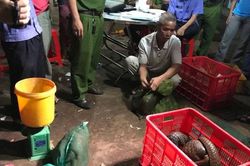 Chế tài mạnh hành vi buôn bán, sử dụng động vật hoang dã