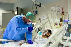 Số ca tử vong ở châu Âu do COVID-19 vượt mốc 50.000 người