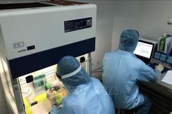 Nhiều trường hợp xét nghiệm có kết quả âm tính với virus SARS-CoV-2