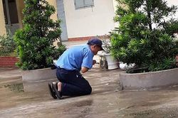 Xôn xao hình ảnh bác bảo vệ quỳ ở góc sân trường, biết được lý do phía sau mọi người mới bất ngờ
