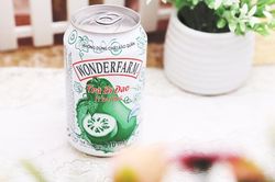 Người Nhật lãi 600 triệu/ngày nhờ trà bí đao, nước yến