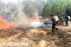 Nguy cơ cháy rừng ở Đồng Nai ở mức cực kỳ nguy hiểm
