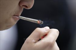 Giới chuyên gia khuyến cáo cai thuốc lá để phòng chống dịch COVID-19
