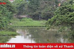 Rác thải, cây leo bủa vây sông Bến Ngự, nguy cơ ách tách dòng chảy