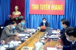 Tăng cường phòng chống sinh vật gây hại cây trồng vụ đông xuân