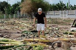 Minh Luân về quê làm nông dân