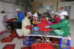 Doanh nghiệp cần làm gì để tránh bẫy 'tất cả mọi thứ đều đang rẻ'?