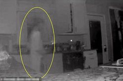 Kiểm tra camera người phụ nữ tưởng có người lạ vào nhà, ai ngờ nhìn kĩ mới phát hiện điều hoảng hồn
