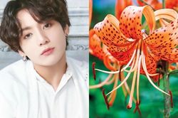 7 loài hoa tượng trưng cho các thành viên BTS, bạn đã biết hết chưa?