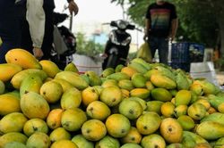 Xoài đổ đống bán đầy đường phố, giá chỉ 10.000 đồng/kg