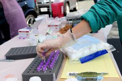Đại học Mỹ ra mắt ứng dụng xét nghiệm và hỗ trợ chống COVID-19