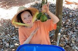 Cuộc sống ở nhà làm nông mùa dịch của Lý Nhã Kỳ và các sao Việt