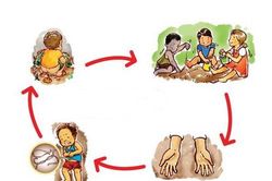 Cách dùng thuốc giun để phát huy tác dụng tốt nhất