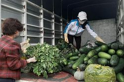 Giảng viên đi gom thực phẩm hỗ trợ khu cách ly tập trung