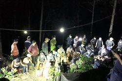Bắt giữ 41 đối tượng đánh bạc giữa rừng phòng hộ Phú Ninh
