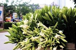 Thênh thang cảm xúc tháng tư