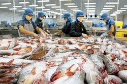Nhiều ngành nghề sản xuất, kinh doanh được giãn thuế, tiền thuê đất