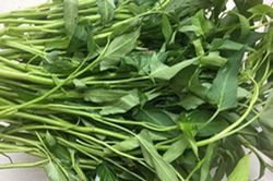Nữ sinh bỗng 'nổi như cồn' vì hỏi bạn cách nhặt rau muống rồi hí hửng làm theo, nhìn thành phẩm ai cũng cười đến 'quặn ruột'