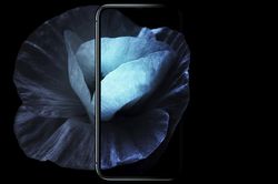 iPhone 12 Pro lột xác đầy ấn tượng với màn hình siêu tràn viền, 5 camera sau