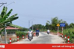 Hòa Bình Thạnh: Nhân dân đóng góp trên 110 triệu đồng nâng cấp đường nông thôn